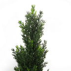 Künstlicher UV-beständiger Zedern-Topiary-Baum für den Außenbereich, 90 cm, realistische Pflanze, Botanik